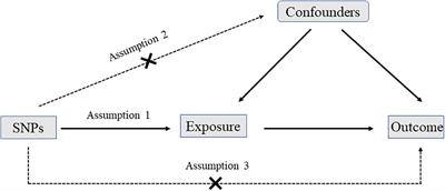 Causal Relationships Between Osteoarthritis and Senile Central Nerve System Dysfunction: A Bidirectional Two-Sample Mendelian Randomization Study